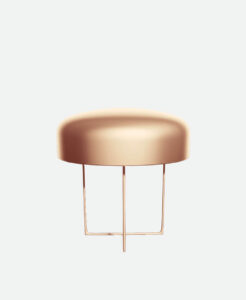 Product Name 12 - immagine 2